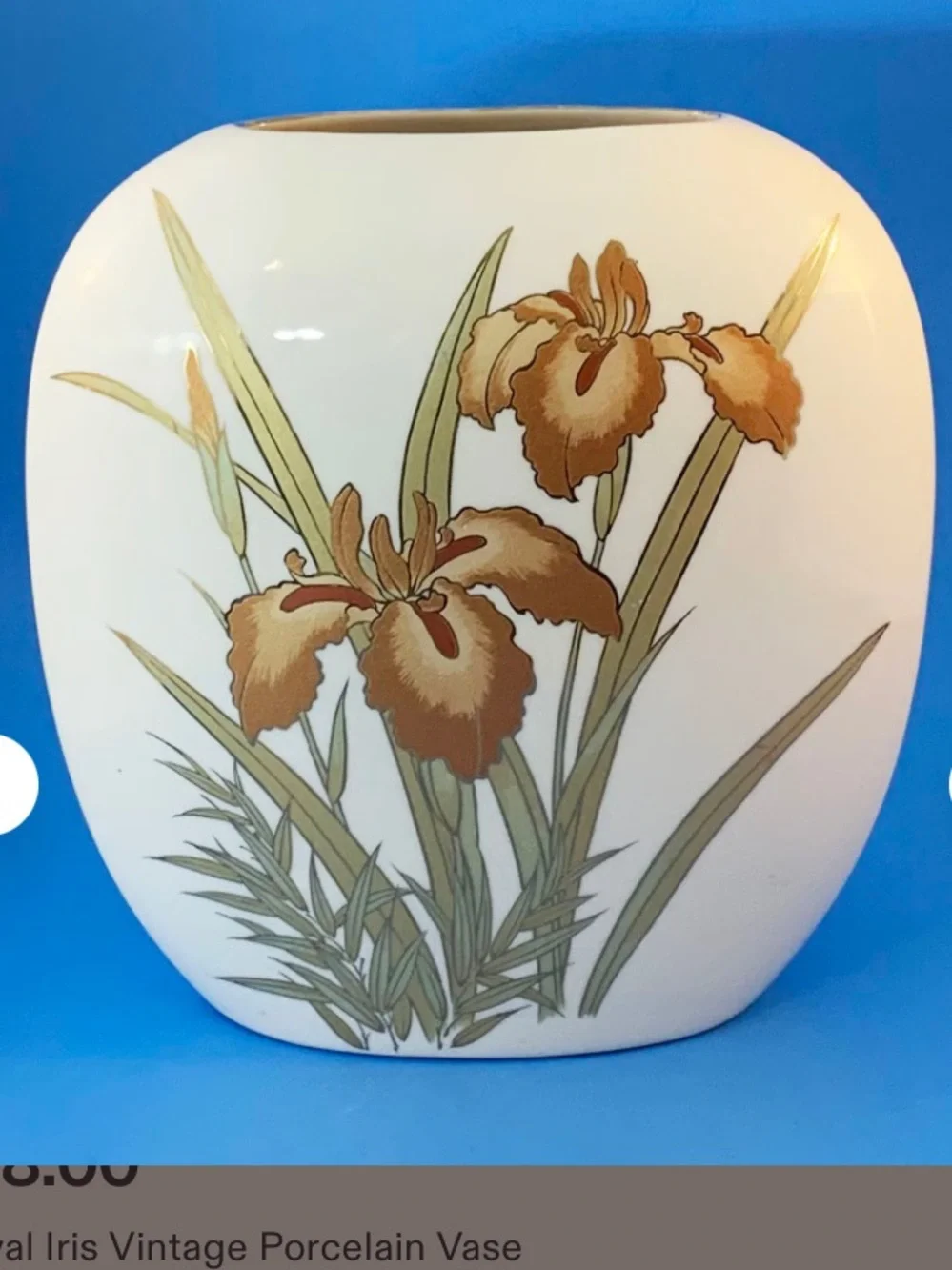 Vintage White Porcelain Vase with Brown Royals Iris Illustration Gold Trim
